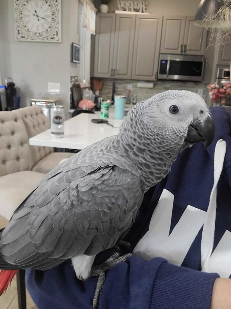 Miya Miya