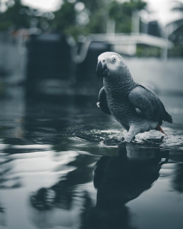 ahmed-zayan-iANR5BfavC8-unsplash ahmed-zayan-iANR5BfavC8-unsplash